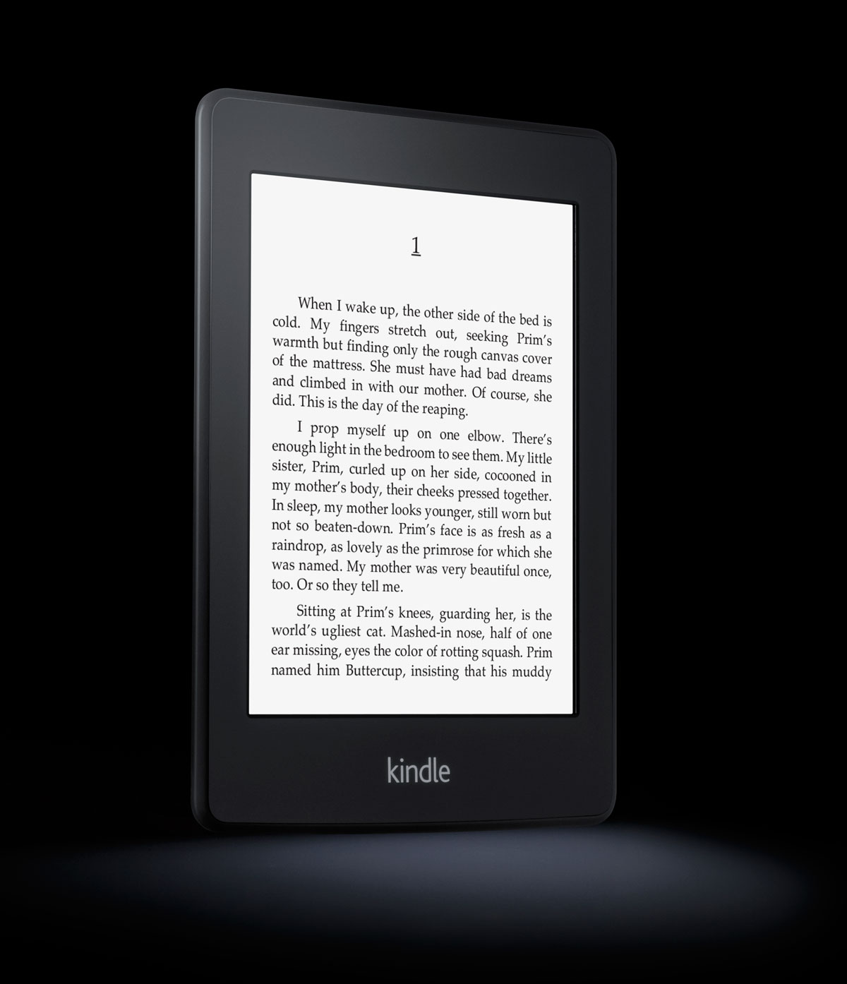Amazon Kindle with Paperwhite Display